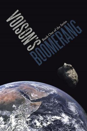 Book cover of Voison’S Boomerang