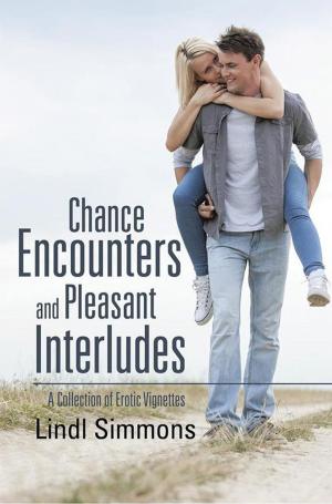 Cover of the book Chance Encounters and Pleasant Interludes by Robert Mulolo