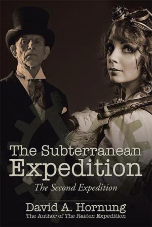 Cover of the book The Subterranean Expedition by Brenda Hodge, J. Rivers Hodge