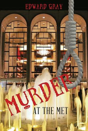 Cover of the book Murder at the Met by Robert Rothschild