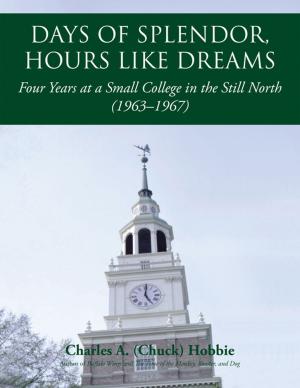 Cover of the book Days of Splendor, Hours Like Dreams by Richard E. Schneider