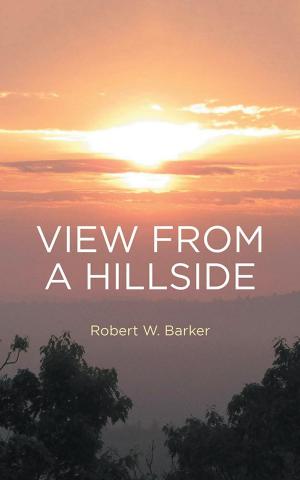 Cover of the book View from a Hillside by Becky Ann Bartness