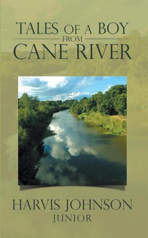 Cover of the book Tales of a Boy from Cane River by B. K. Parent