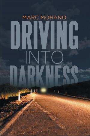 Cover of the book Driving into Darkness by Kathryn Eberle Wildgen