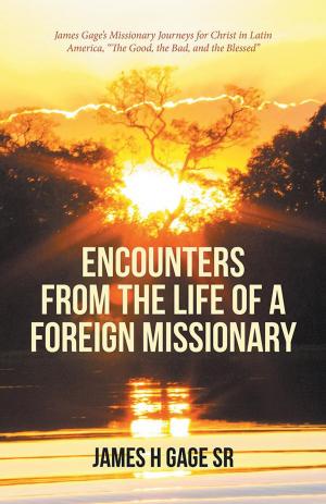 Cover of the book Encounters from the Life of a Foreign Missionary by Paul A. Lindahl Jr., Susan J. Lindahl