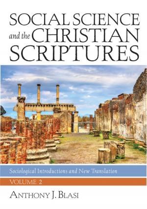 Cover of the book Social Science and the Christian Scriptures, Volume 2 by Ronald P. Byars