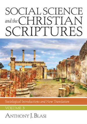 Cover of the book Social Science and the Christian Scriptures, Volume 3 by Kimberly Ervin Alexander, James P. Bowers