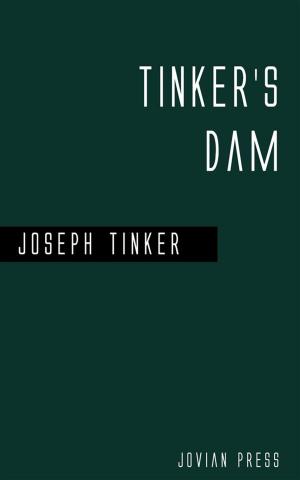 Cover of the book Tinker's Dam by Talbot Mundy