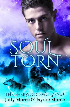 Book cover of Soul Torn