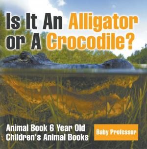 Cover of Is It An Alligator or A Crocodile? Animal Book 6 Year Old | Children's Animal Books