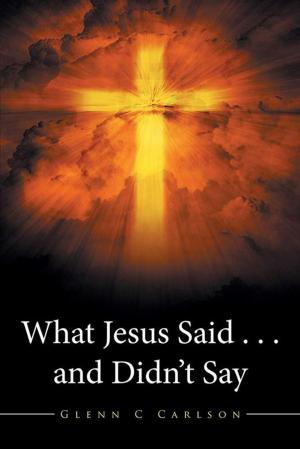 Cover of the book What Jesus Said . . . and Didn’T Say by Mariu Suárez