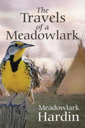 Cover of the book The Travels of a Meadowlark by April N. Royal