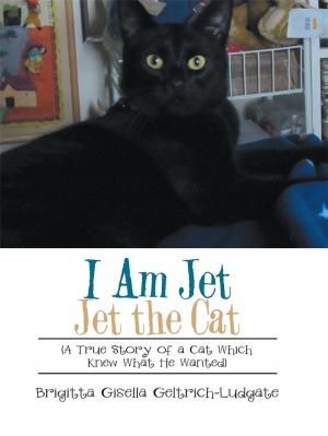 Cover of the book I Am Jet Jet the Cat by Howard Lentzner