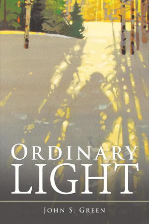 Cover of the book Ordinary Light by Marguerite B. White