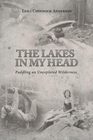 Cover of the book The Lakes in My Head by George Wilson Morin