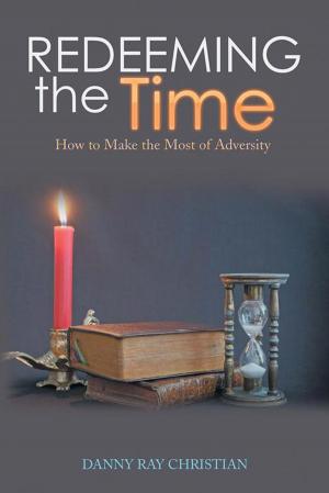 Cover of the book Redeeming the Time by Carole Borthwick