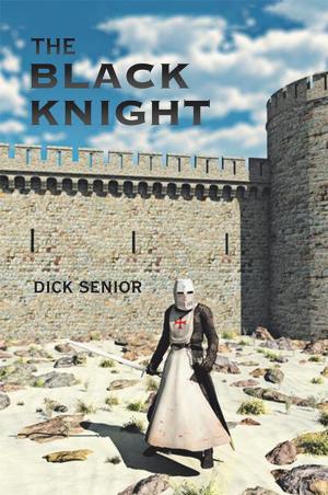 Cover of the book The Black Knight by Virginia Swain