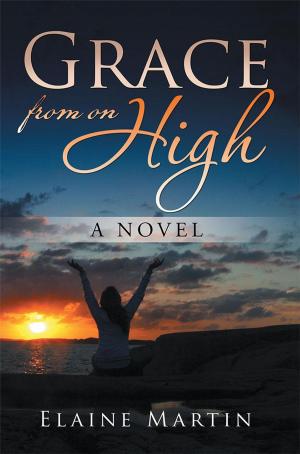 Cover of the book Grace from on High by Augustine Etemma Inwang MSP
