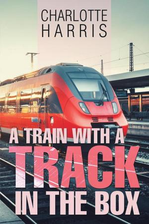 Book cover of A Train with a Track in the Box