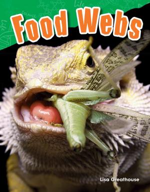 Cover of the book Food Webs by Wendy Conklin