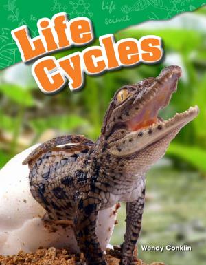 Cover of the book Life Cycles by JB Concepts Media