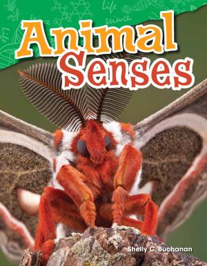Cover of the book Animal Senses by Jennifer Kroll