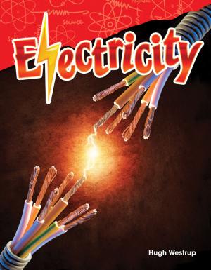 Cover of the book Electricity by Heather E. Schwartz