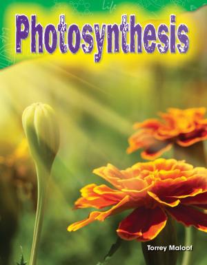 Book cover of Photosynthesis
