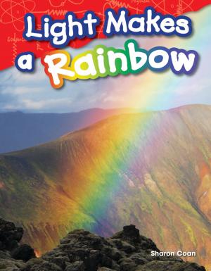 Book cover of Light Makes a Rainbow
