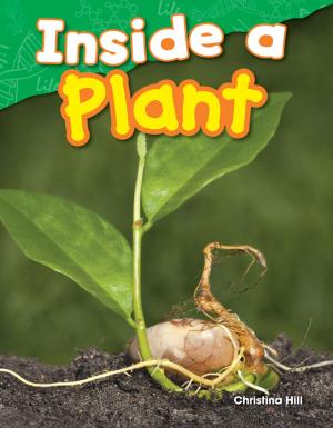 Cover of the book Inside a Plant by Amelia Edwards