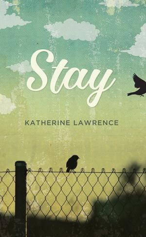 Cover of the book Stay by Dave Glaze
