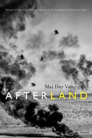 Cover of the book Afterland by Deb Olin Unferth