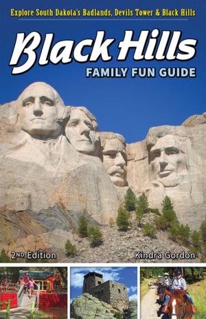 Cover of the book Black Hills Family Fun Guide by Matt Forster