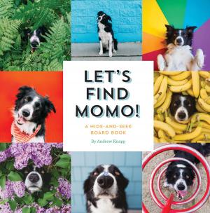 Cover of the book Let's Find Momo! by Margaret Mcguire, Alicia Kachmar