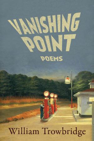 Cover of the book Vanishing Point by Lena Khalaf Tuffaha