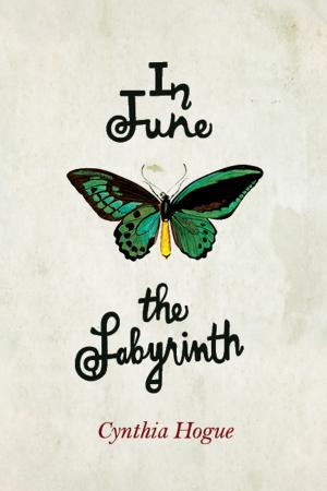 Cover of the book In June the Labyrinth by Geoffrey Clark