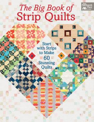 Book cover of The Big Book of Strip Quilts