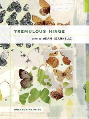 Book cover of Tremulous Hinge