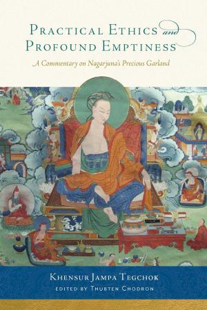 Cover of the book Practical Ethics and Profound Emptiness by Anyen Rinpoche, Allison Choying Zangmo