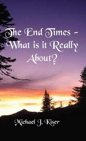 Cover of the book The End Times - What Is It Really About? by Glenn Volmer