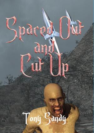 Cover of the book Spaced Out and Cut Up by LK Kelley