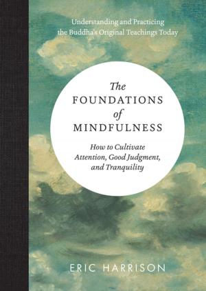Cover of the book The Foundations of Mindfulness by Stefan Lohr