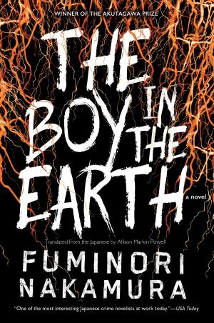 bigCover of the book The Boy in the Earth by 