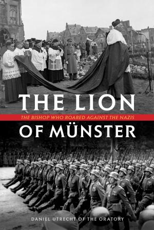 Cover of the book The Lion of Munster by Judith Mann