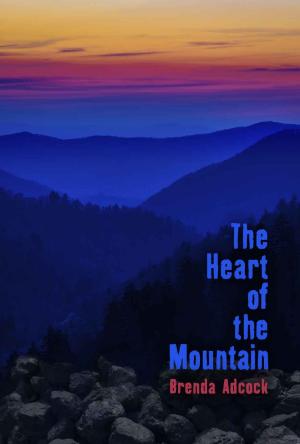 Cover of the book The Heart of the Mountain by Nola Sarina, Emily Faith