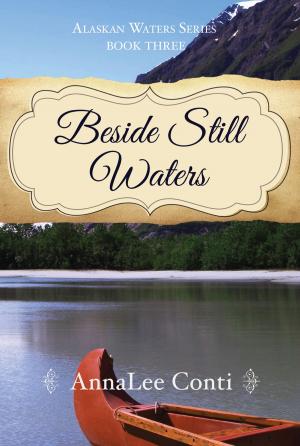 Cover of the book Beside Still Waters by Dr. Patrick Johnston