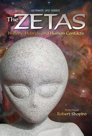 Cover of the book The Zetas by David K. Miller
