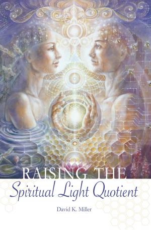 Cover of the book Raising the Spiritual Light Quotient by Joshua David Stone