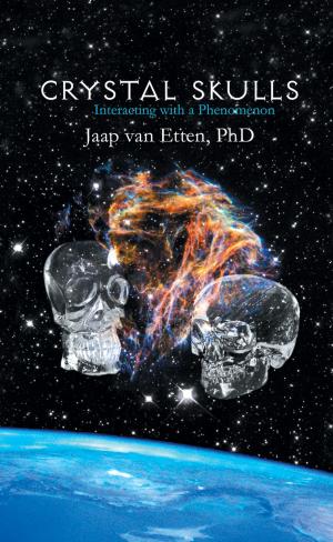 Cover of the book Crystal Skulls by Joshua David Stone, Janna Shelley