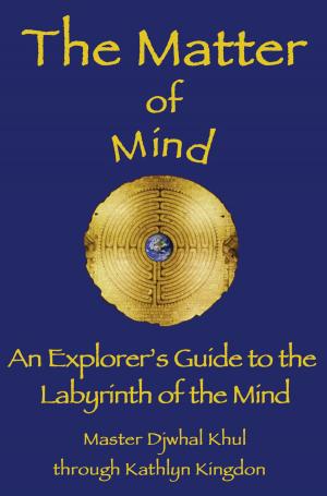 Cover of the book The Matter of Mind by Virgil Armstrong, Lynn Buess, Glenn Phillips, Dorothy Roeder, Robert Shapiro, Ruth Ryden, Pete Sanders, Jr., Eileen Nauman